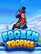 เล่นสล็อต ดูดเงิน อย่างไรให้ได้กำไร